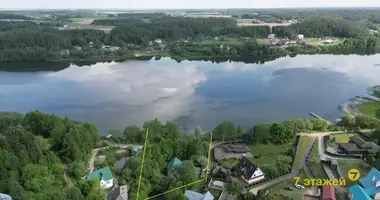 House in Astrasyckaharadocki sielski Saviet, Belarus