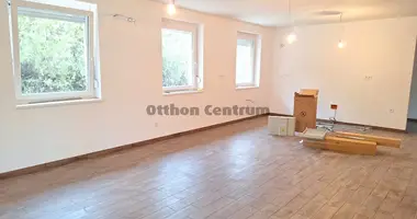 5 room house in Veresegyhaz, Hungary