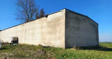 Gewerbefläche 626 m² in Zuklijai, Litauen