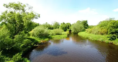 Działka w Szyrwinty, Litwa