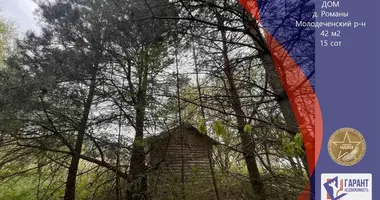 Дом в Радошковичский сельский Совет, Беларусь