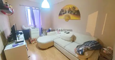9 room house in Budapest, Hungary