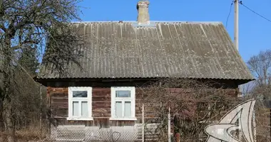 House in Voucynski sielski Saviet, Belarus