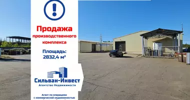 Manufacture 2 832 m² in Usyazh, Belarus