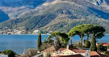 1 bedroom apartment in Tivat, Montenegro