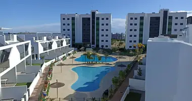 2 bedroom apartment in Pilar de la Horadada, Spain