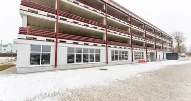 Commercial property 1 005 m² in Minsk, Belarus
