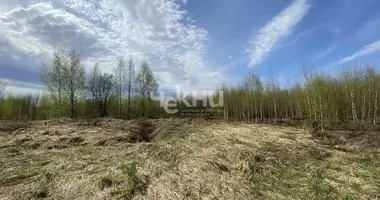 Plot of land in gorodskoy okrug Bor, Russia