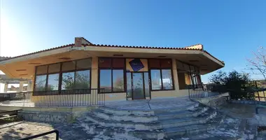 Propiedad comercial 260 m² en Nea Fokea, Grecia