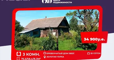 Dom w Zodzinski sielski Saviet, Białoruś