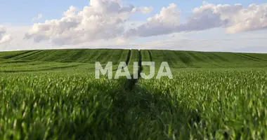 Terrain dans Karsava, Lettonie