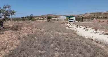 Parcela en Jumilla, España