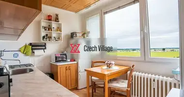 2 bedroom apartment in Nymburk, Czech Republic