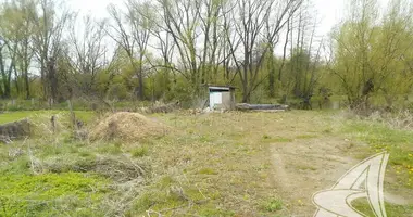 Plot of land in Vysokaye, Belarus