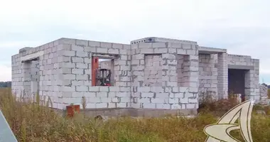 House in carnaucycki sielski Saviet, Belarus