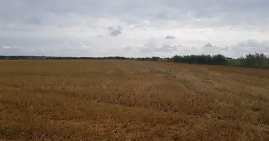 Plot of land in Rokiskis, Lithuania