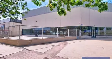 Entrepôt 463 m² dans Sant Vicent del Raspeig San Vicente del Raspeig, Espagne