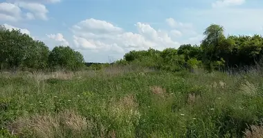 Grundstück in Posen, Polen