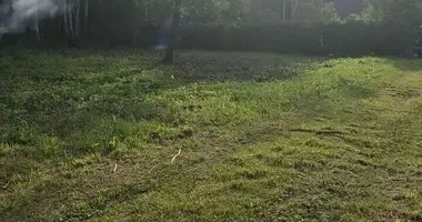 Terrain dans Saskouski sielski Saviet, Bélarus