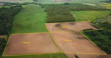 Plot of land in Suzionys, Lithuania