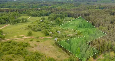 Działka w Wilno, Litwa