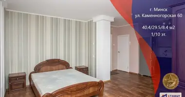 1 room apartment in Minsk, Belarus