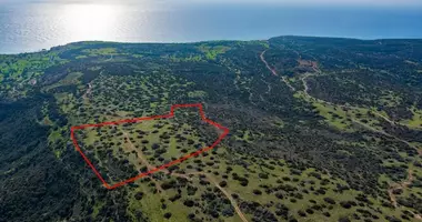 Grundstück in Avdimou, Cyprus