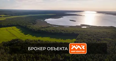 Plot of land in Petrovskoe selskoe poselenie, Russia