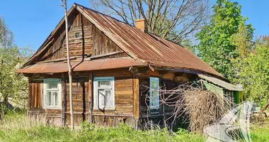 House in Vialikija Lepiasy, Belarus