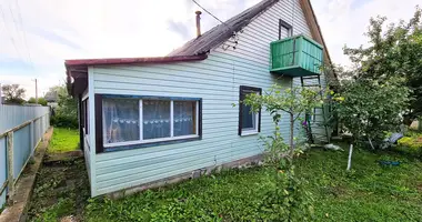 House in Krupski, Belarus