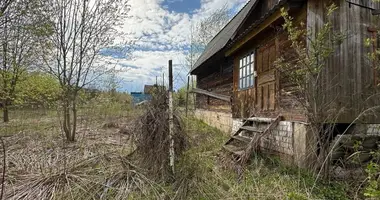 Maison dans Piatryskauski siel ski Saviet, Biélorussie