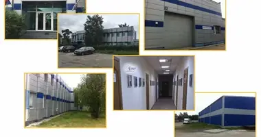 Gewerbefläche 3 000 m² in Medvedevka, Russland