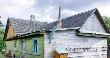 House in Rasna, Belarus