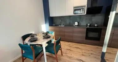 1 room apartment in Krakow, Poland