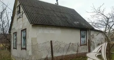 House in Skoki, Belarus