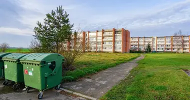 Wohnung 1 Zimmer in Kriekenau an der Nowitz, Litauen