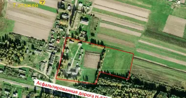 Commercial property in Izbisca, Belarus