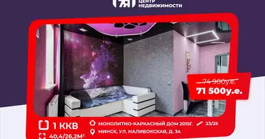 1 bedroom apartment in Minsk, Belarus