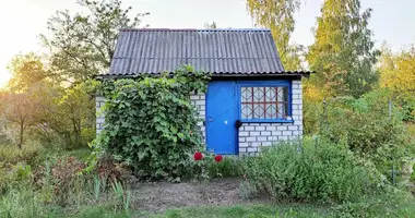 Haus in Navasiolkauski siel ski Saviet, Weißrussland