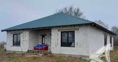 Haus in Telminski sielski Saviet, Weißrussland