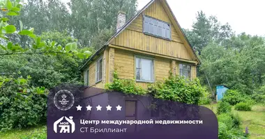 Dom w Krasnienski sielski Saviet, Białoruś