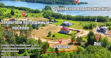 Plot of land in Ozyaritska-Slabadski rural council, Belarus