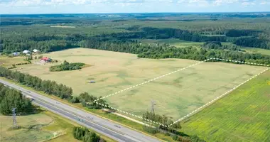 Grundstück in Joteliunai, Litauen