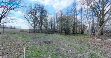 Plot of land in Stanaiciai, Lithuania