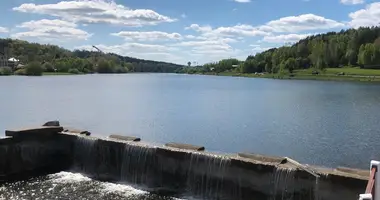 Дом в Озерицко-Слободской сельский Совет, Беларусь