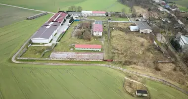 Terrain dans Sedzinko, Pologne