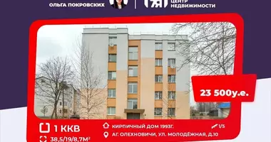 Apartamento 1 habitación en Aliachnovicy, Bielorrusia