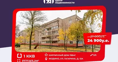 Apartamento 1 habitación en Zhodino, Bielorrusia