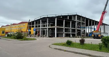 Manufacture 388 m² in Luhavaslabadski sielski Saviet, Belarus