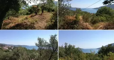 Plot of land in Topla, Montenegro
